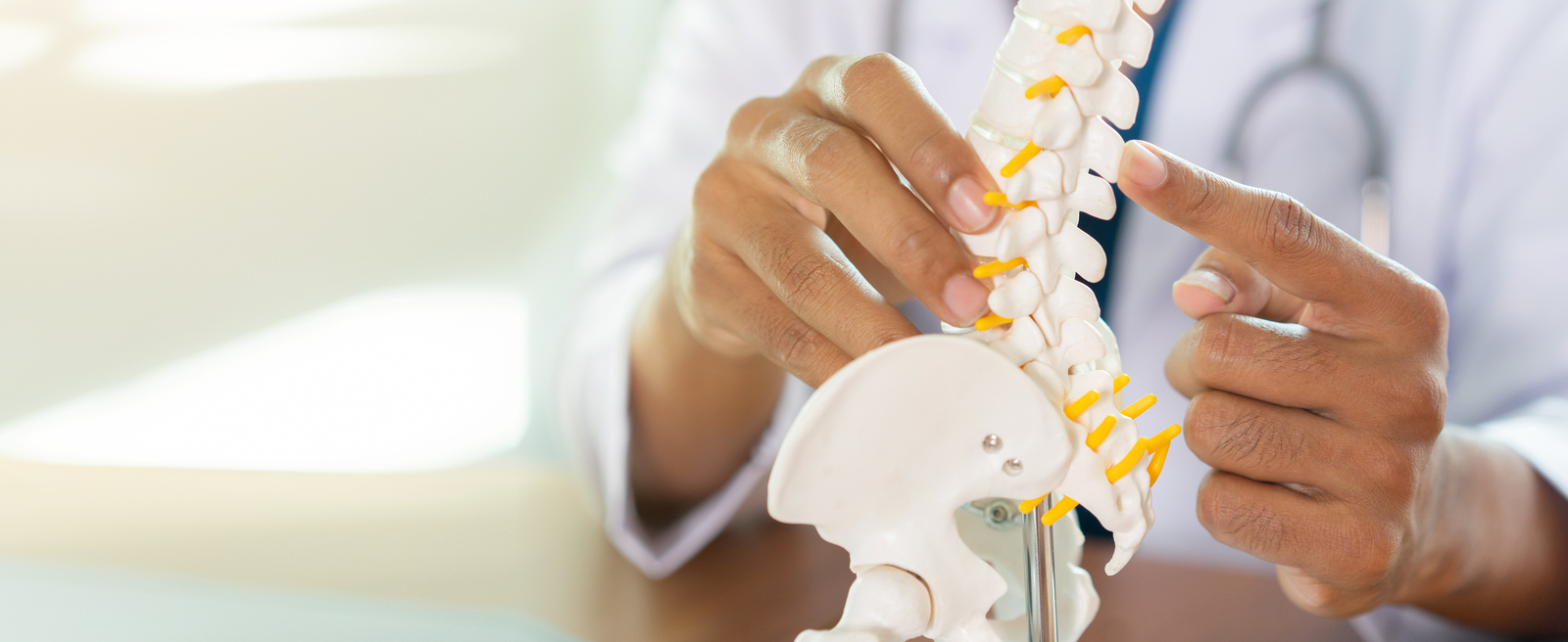 Doctor shows patient a model of the spine.