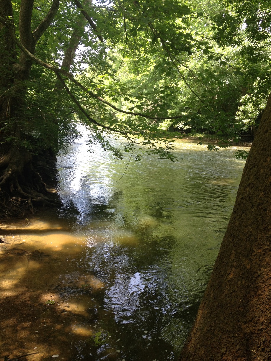 caesar creek mountain bike trails