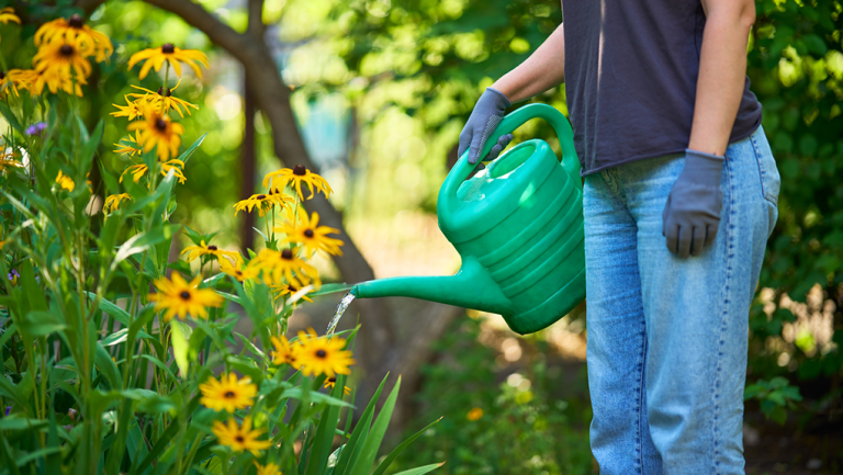 Summertime Chores: Can They Help Your Health?