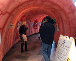 Liz_Inflatable_Colon_resized_for_web_3-23-2017