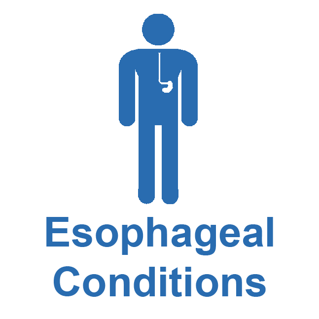 Esophageal_Conditions_New